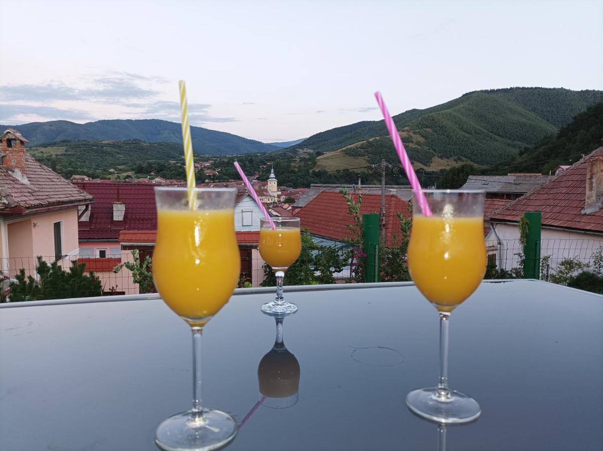 Apartament Panoramic La Casa In Comuna Răşinari Εξωτερικό φωτογραφία