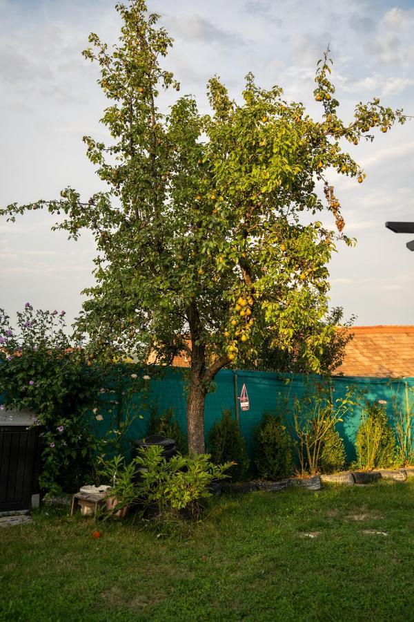 Apartament Panoramic La Casa In Comuna Răşinari Εξωτερικό φωτογραφία
